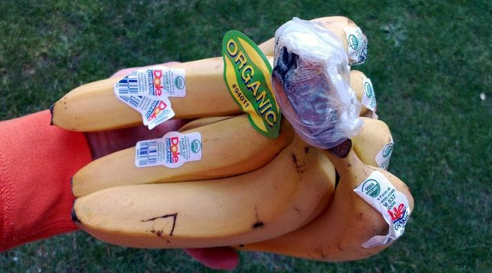 Fun facts about fruit-vegetable stickers