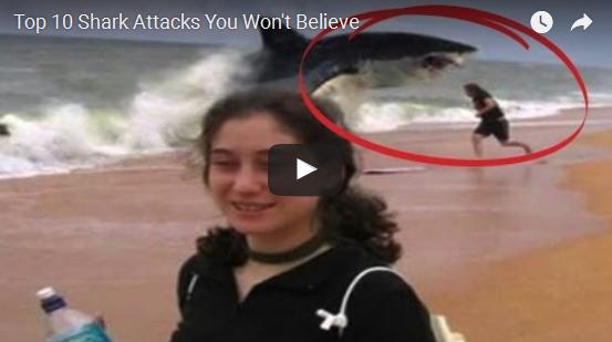 Top Shark Attacks you will not believe