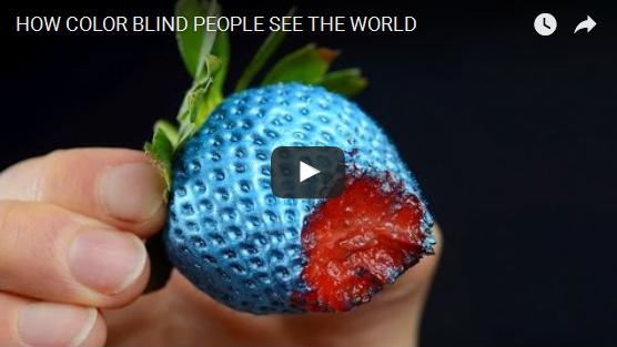 how-color-blind-people-see