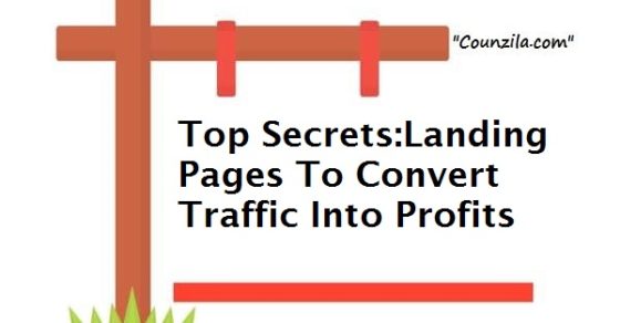 Landing Pages To Convert Traffic Into Profits