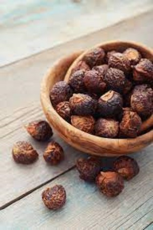 soap nuts are anti-oxidants soap nuts are anti-oxidants