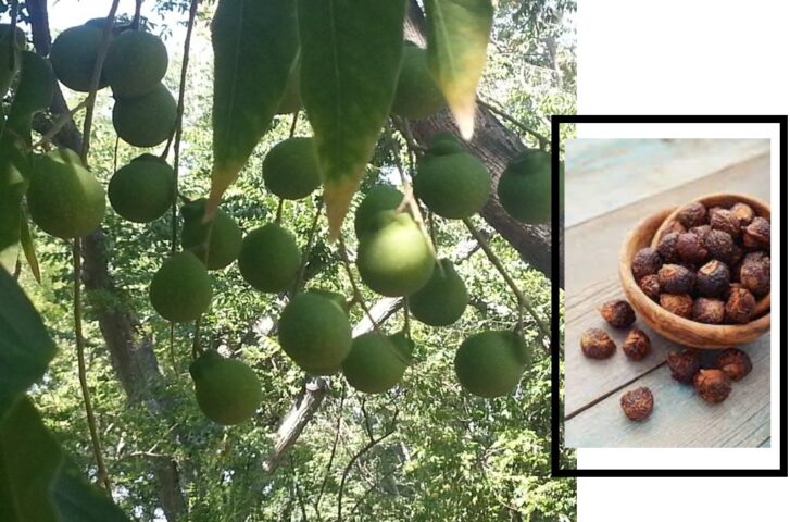 Soap Nuts Natural Laundry Detergent review Soap Nuts Natural Laundry Detergent review