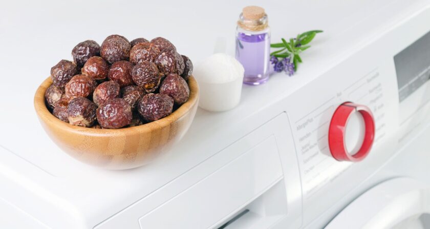 Soap Nuts Natural Laundry Detergent review 3 Soap Nuts Natural Laundry Detergent review