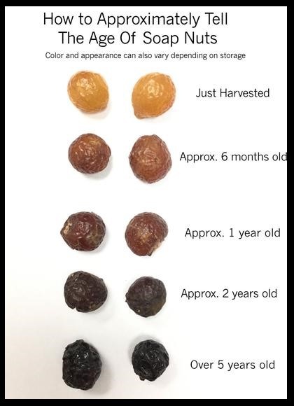 Soap Nuts Natural Laundry Detergent Review - Top 1 Skin Protect Soap
