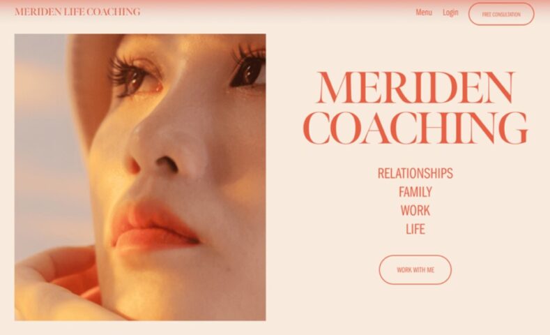 Ashburn web design professional